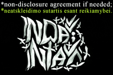 Non-disclosure agreement(IF NEEDED); Nothing to add / Neatskleidimo sutartis(JEIGU SVARBU); Nėra ką pridėti